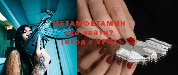 сатива Ельня