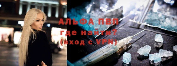 сатива Ельня