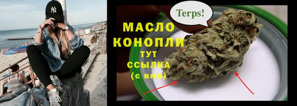 дмт Елабуга
