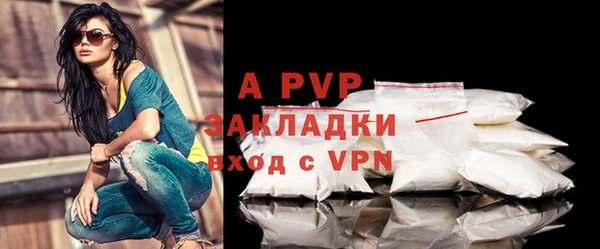 стаф Елизово