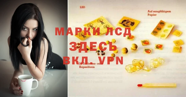 дмт Елабуга
