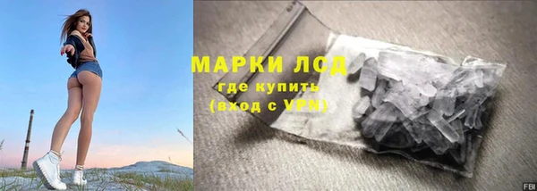 сатива Ельня