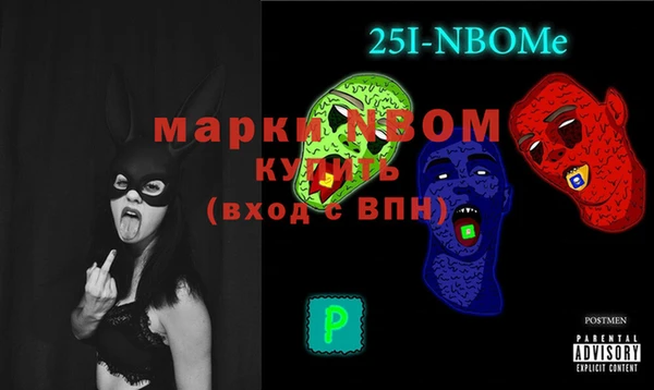 сатива Ельня