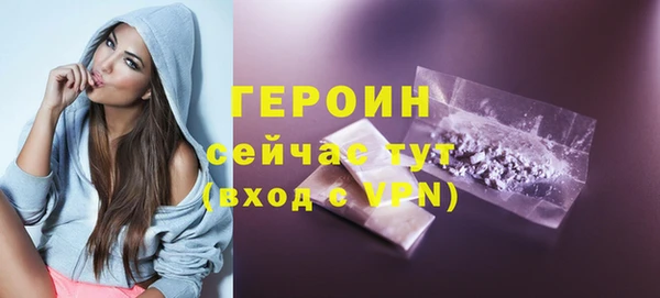 сатива Ельня