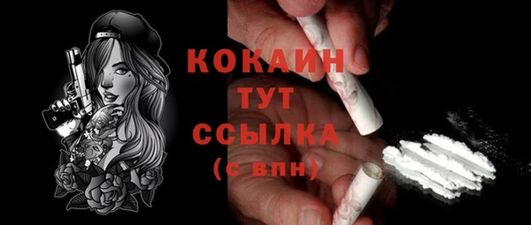 сатива Ельня
