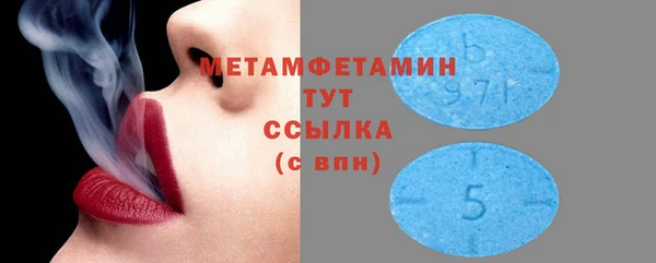 сатива Ельня