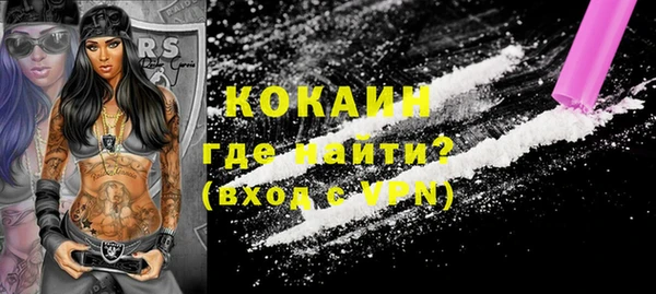 сатива Ельня