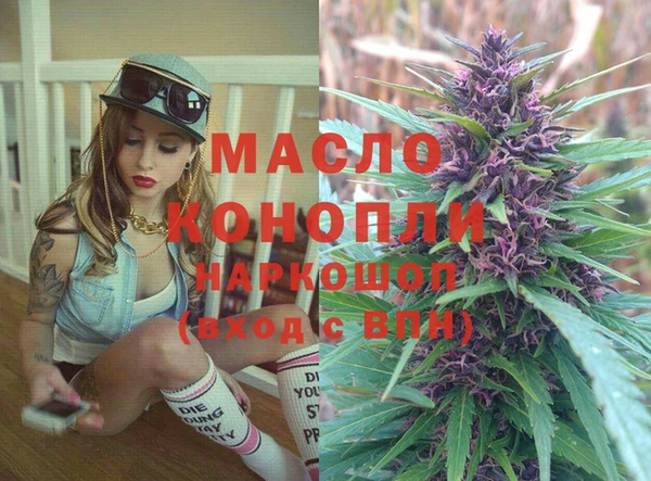 дмт Елабуга