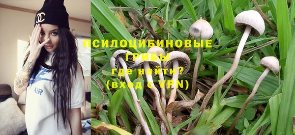 дмт Елабуга