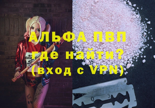 гашик Дмитров