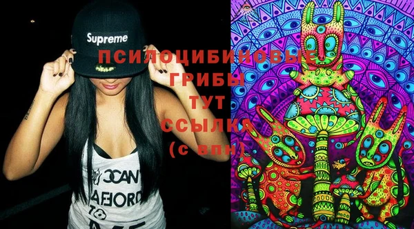 стаф Елизово