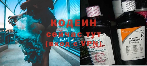 дмт Елабуга