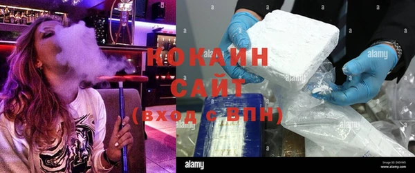 стаф Елизово