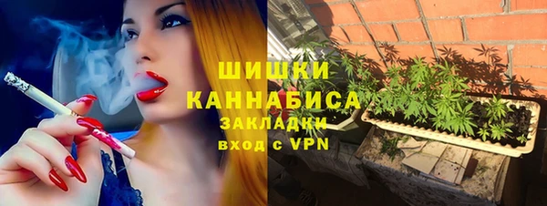 сатива Ельня