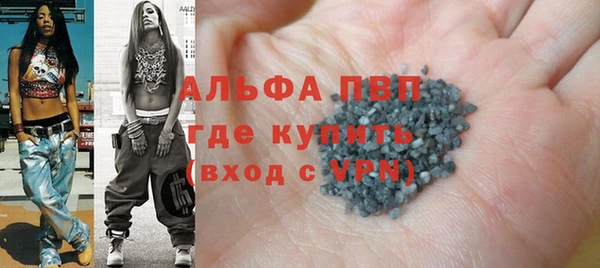 сатива Ельня