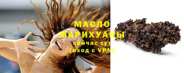сатива Ельня