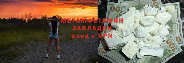 сатива Ельня