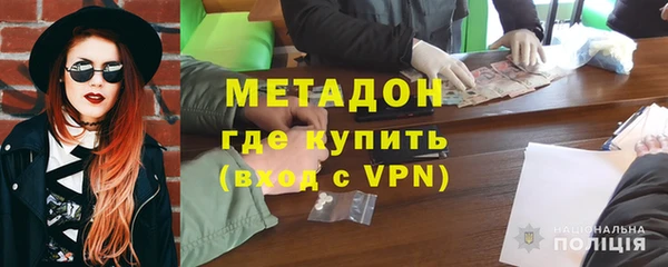 сатива Ельня